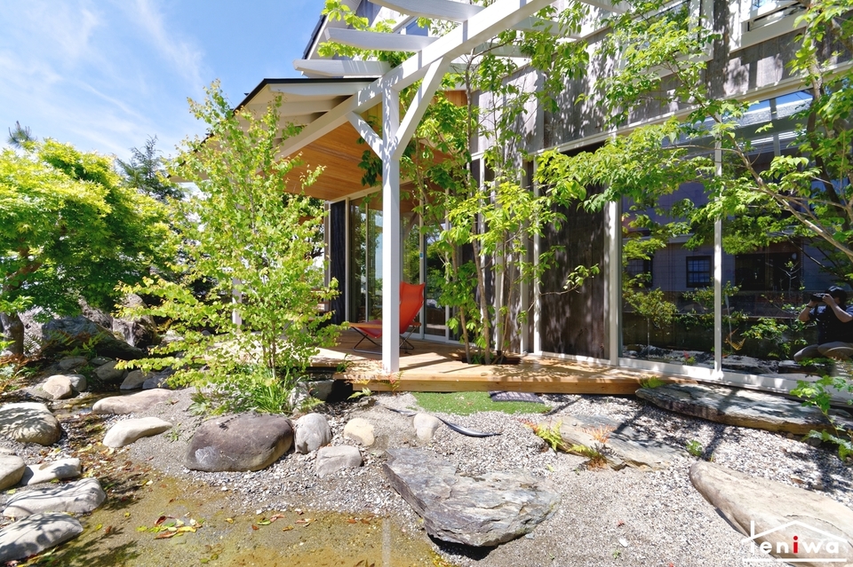 多様な植物と水辺のある庭
